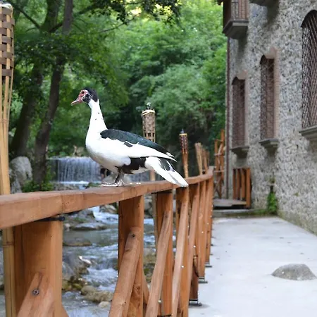 Dimora Storica Hotel Maccarunera Hotel 4*